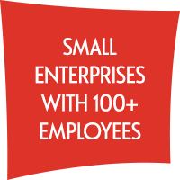 Small Business Enterprises